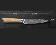 Damascus Kitchen Knife