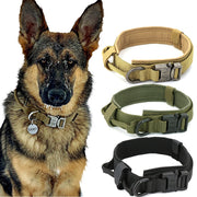 Dog Collar - Bargin Bazaar