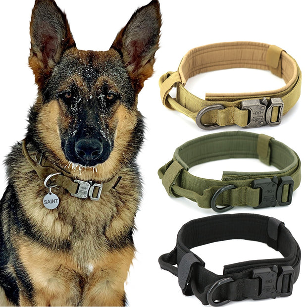 Dog Collar - Bargin Bazaar