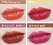 Capsule 12 Color Mini Lipstick Set - Bargin Bazaar