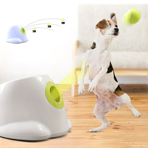 Dog pet Tennis Launcher - Bargin Bazaar