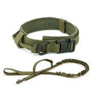 Dog Collar - Bargin Bazaar