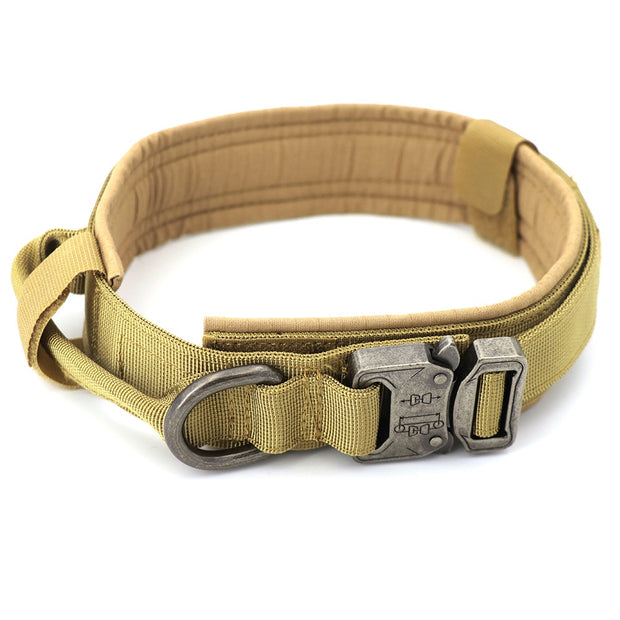 Dog Collar - Bargin Bazaar