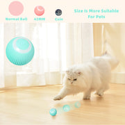 Smart Cat Ball Toys - Bargin Bazaar