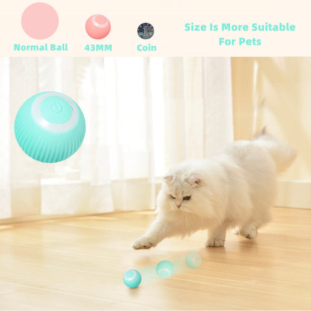 Smart Cat Ball Toys - Bargin Bazaar