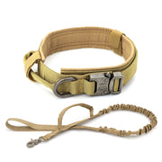 Dog Collar - Bargin Bazaar