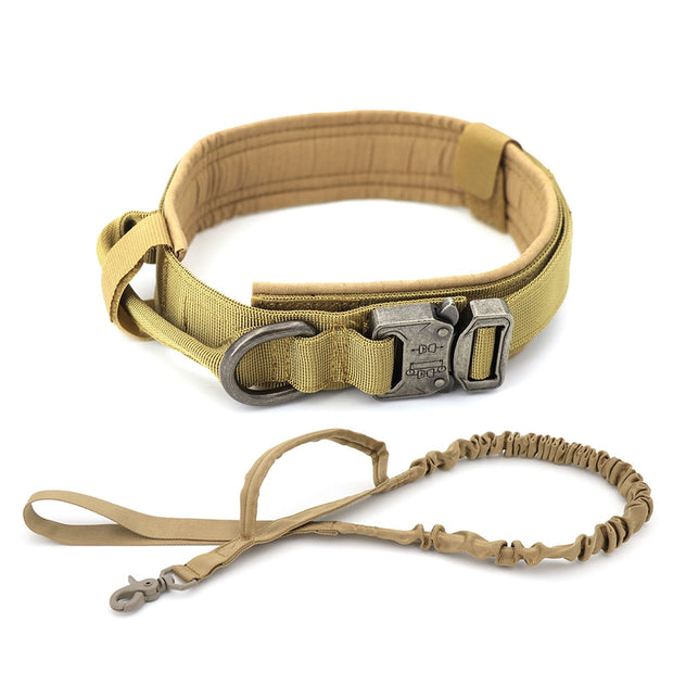 Dog Collar - Bargin Bazaar