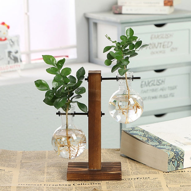 Hydroponic Transparent Plant Vases - Bargin Bazaar