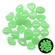 Glow in the Dark Garden Pebbles - Bargin Bazaar